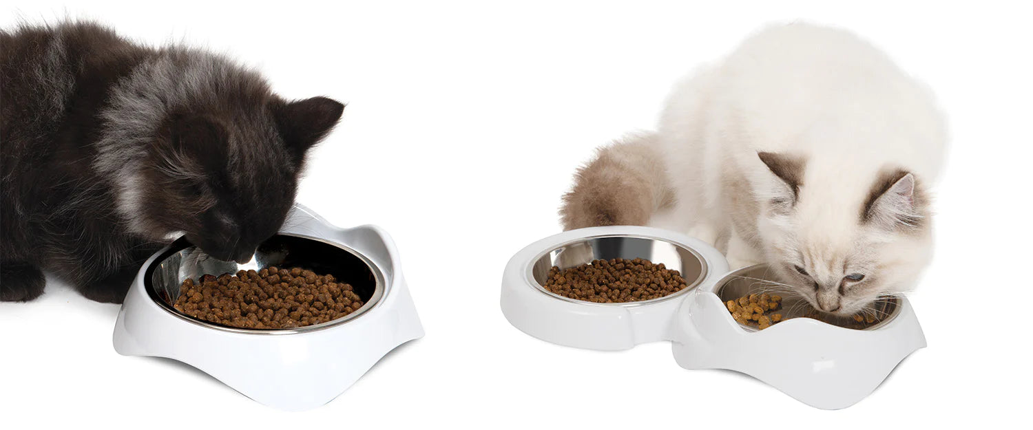 Cat Bowls Catit Canada