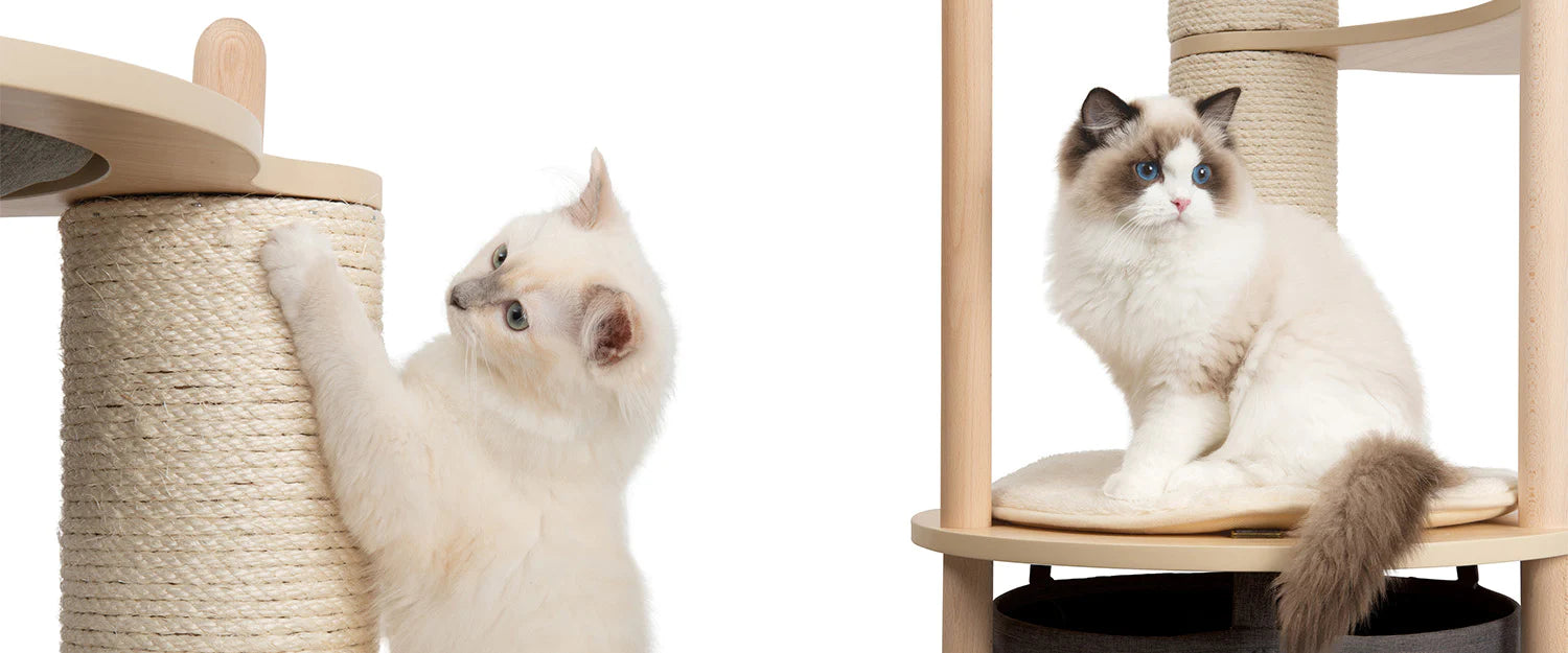 Vesper Design Series Catit Canada