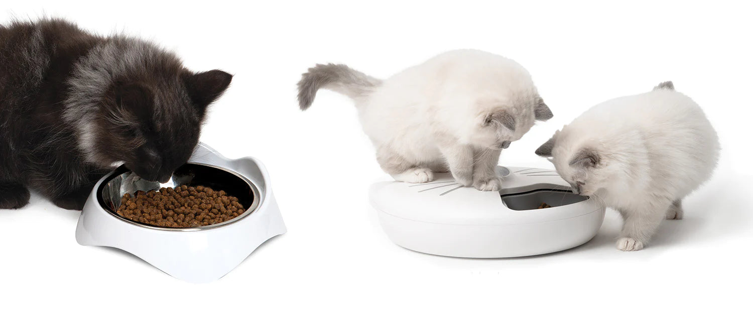 Cat food feeders best sale