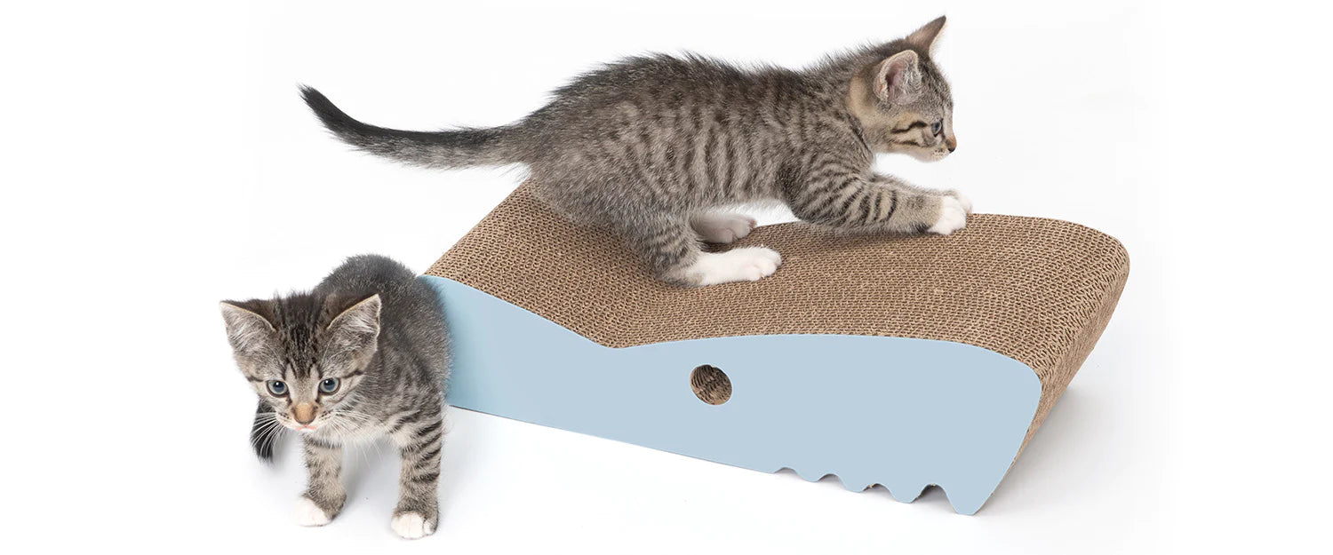 Cat Scratchers Catit Canada
