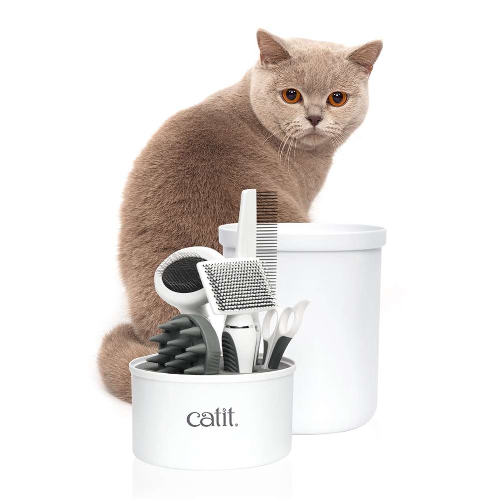 Trousse de toilettage pour chats à poil court