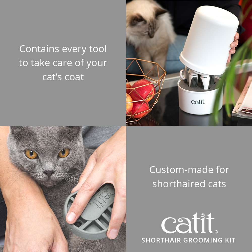 Trousse de toilettage pour chats à poil court