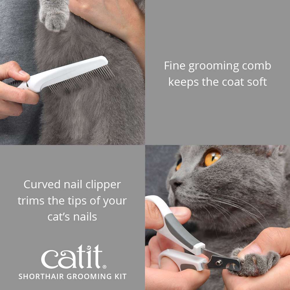 Trousse de toilettage pour chats à poil court