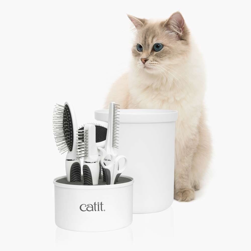 Trousse de toilettage pour chats à poil long