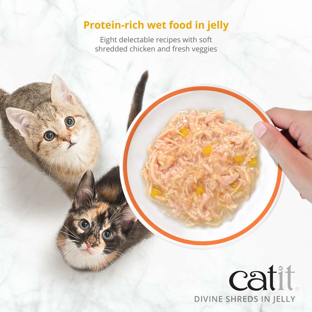 Garnitures Catit Divine Shreds en gelée – Assortiment