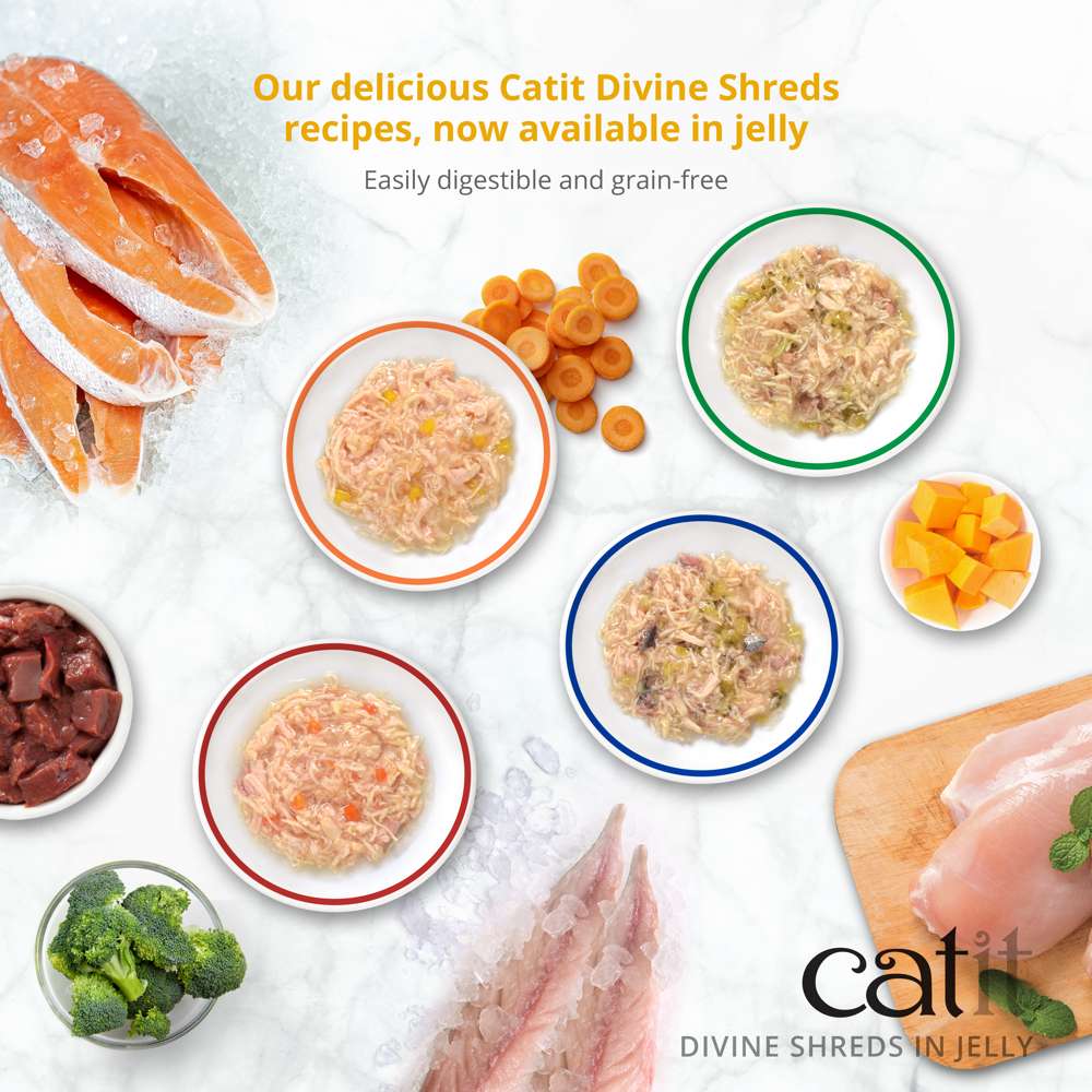Garnitures Catit Divine Shreds en gelée – Thon – paquet de 4