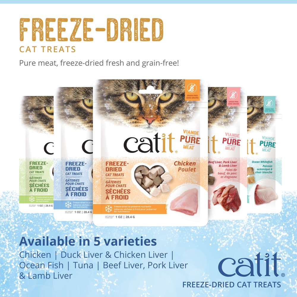 Gâteries Catit séchées à froid pour chats