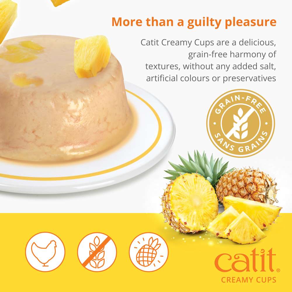 Mousses Catit Creamy Cups