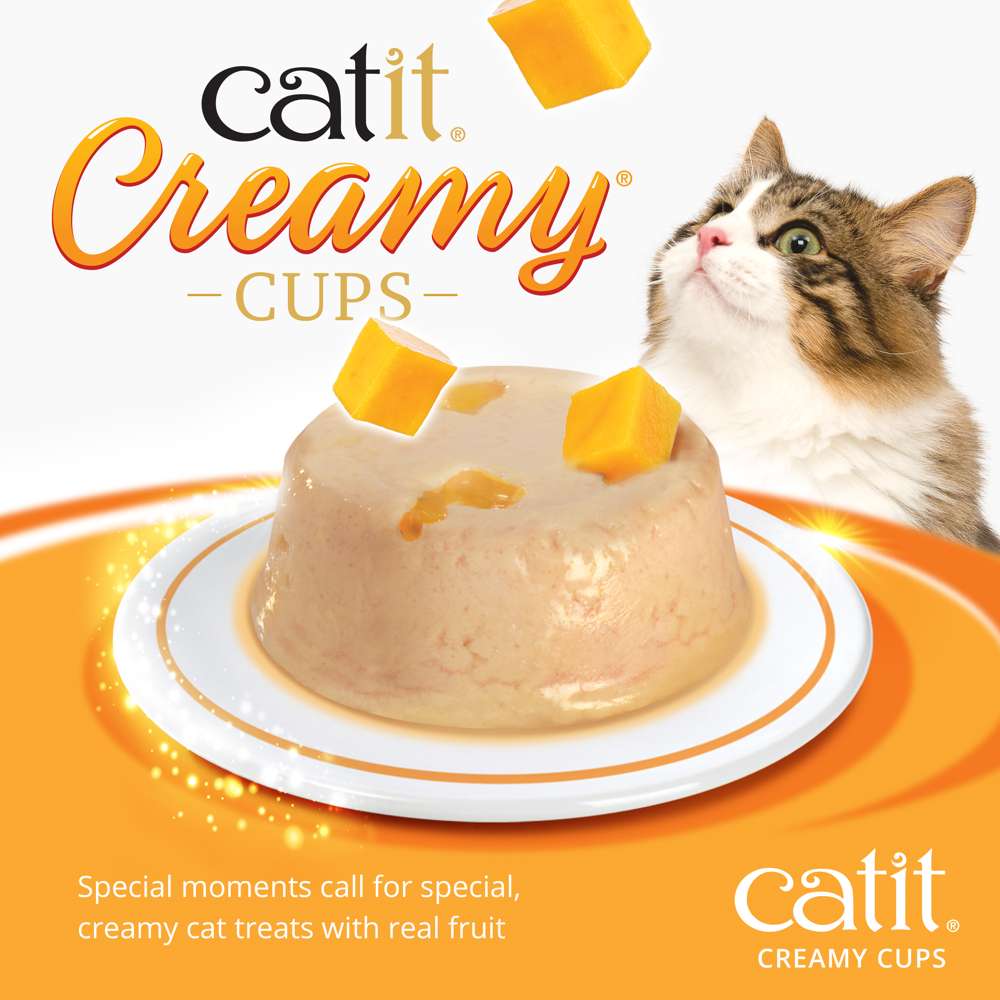 Mousses Catit Creamy Cups