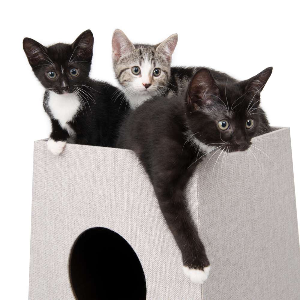 Tour empilable Catit pour chats ─ Carrée