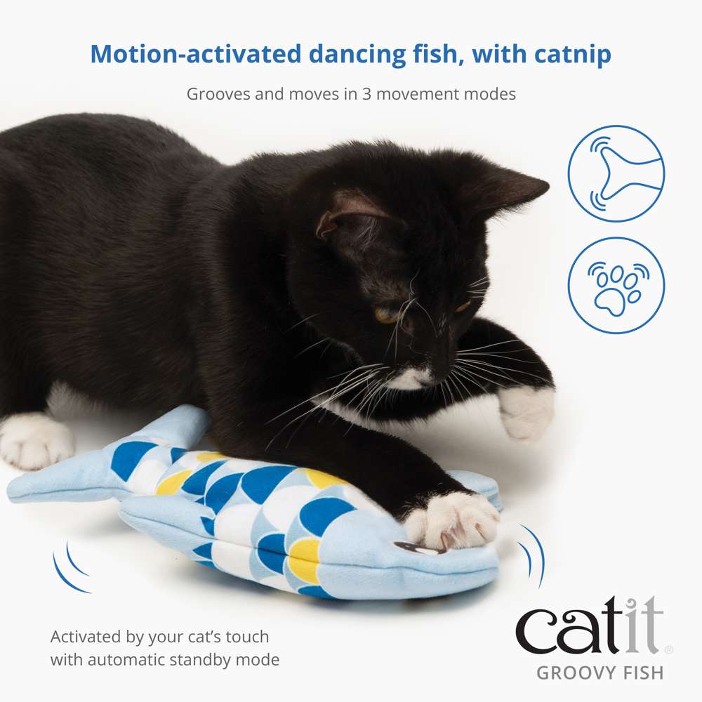 Poisson Catit Groovy