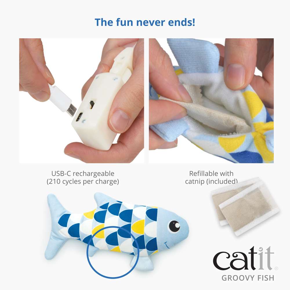 Poisson Catit Groovy
