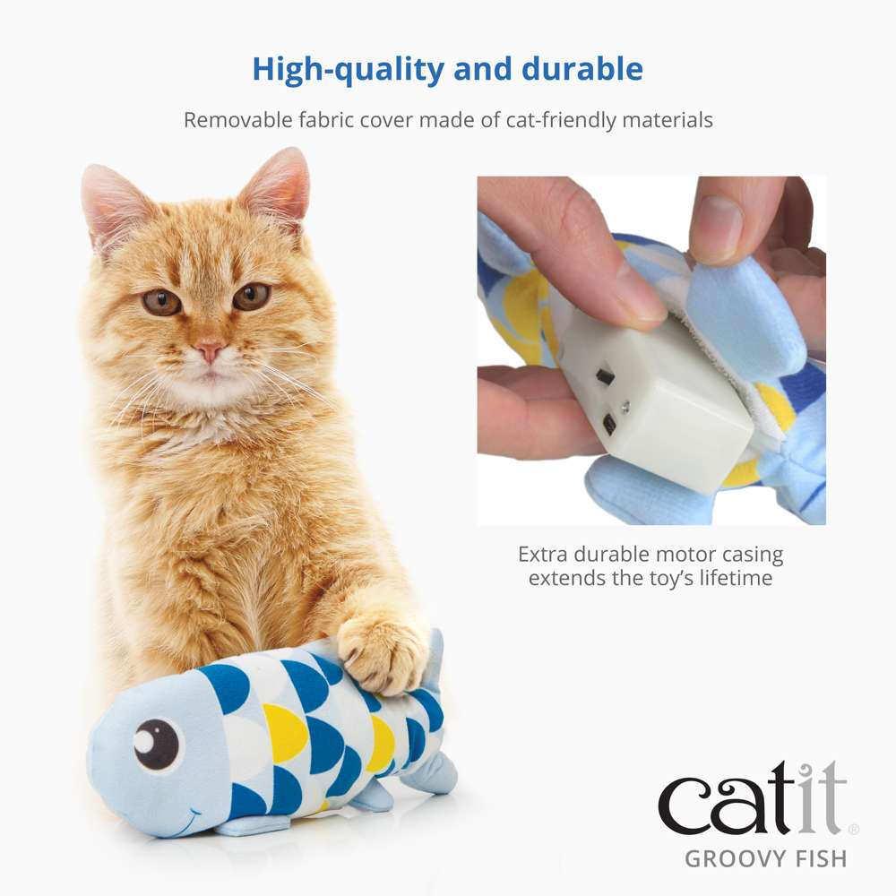 Poisson Catit Groovy