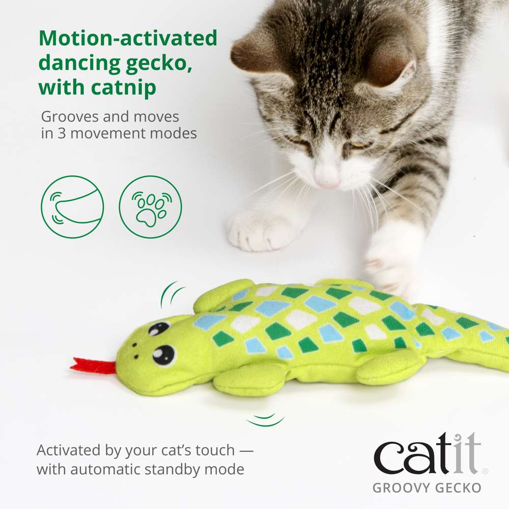 Gecko Catit Groovy