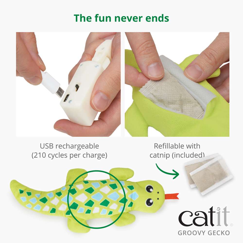 Gecko Catit Groovy