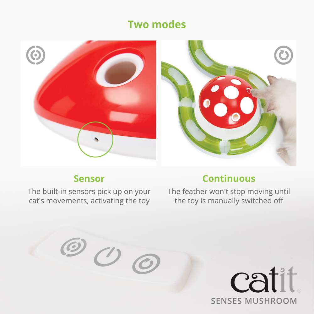 Champignon Catit Senses