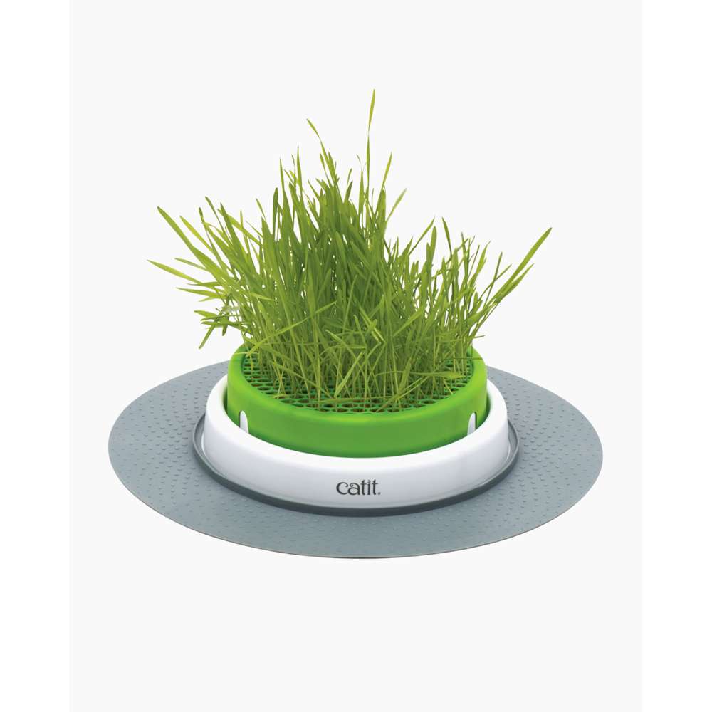 Jardinière d’herbe Catit Senses