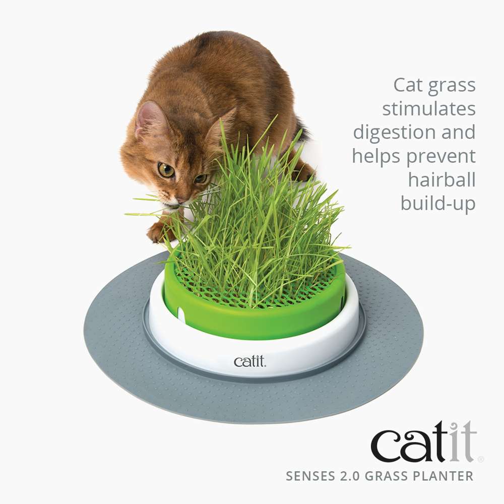 Jardinière d’herbe Catit Senses