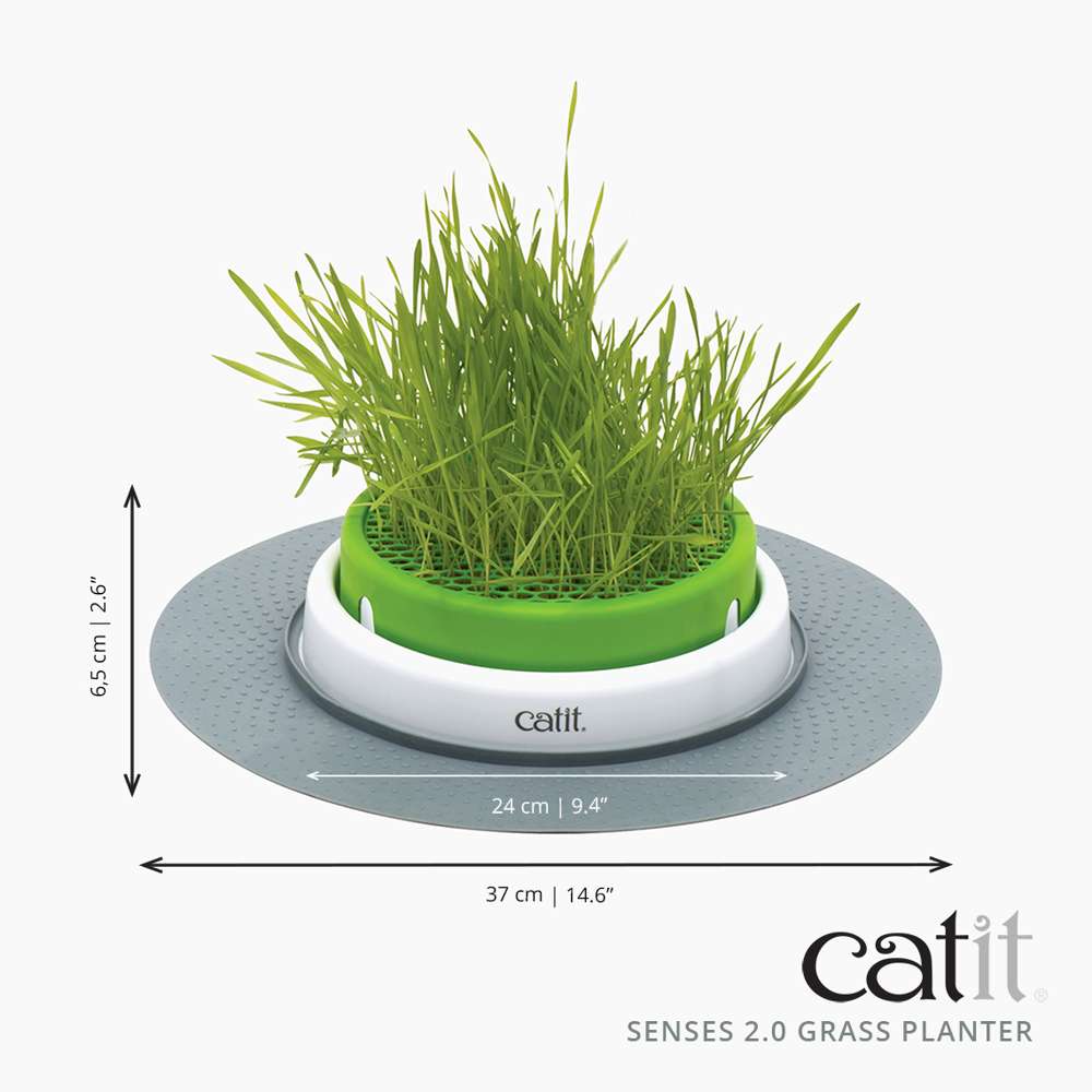 Jardinière d’herbe Catit Senses