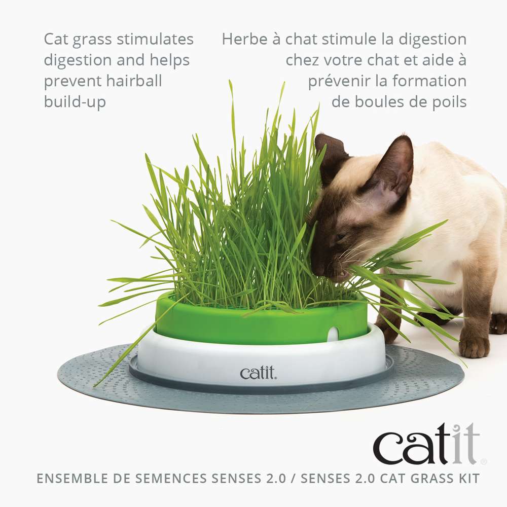 Catit Senses Cat Grass Kit