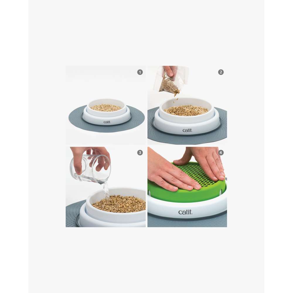 Ensemble de semences Catit Senses