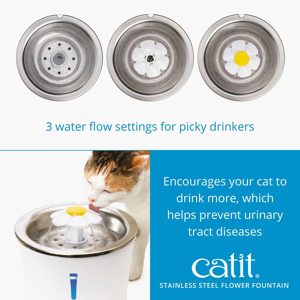 Abreuvoir Catit avec fleur et dessus en acier inoxydable