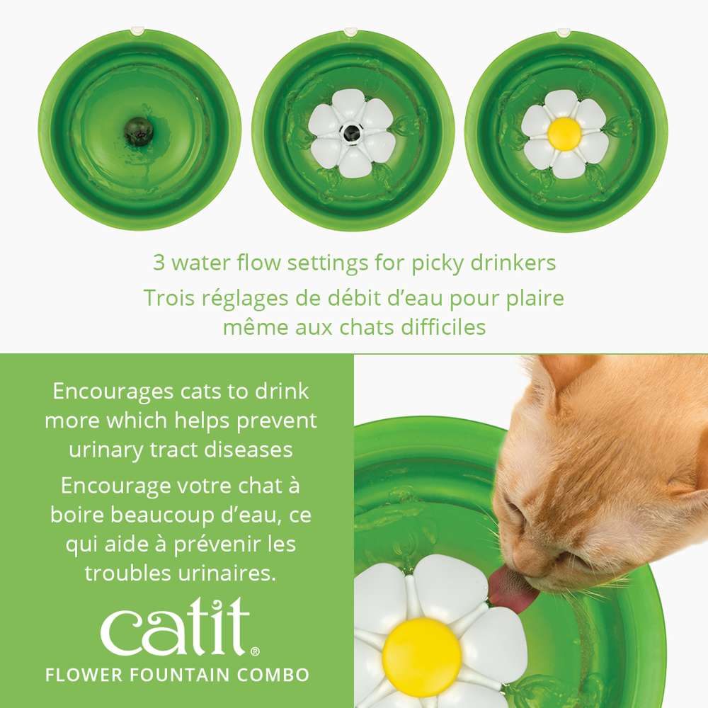 Ensemble d’abreuvoir Catit avec fleur