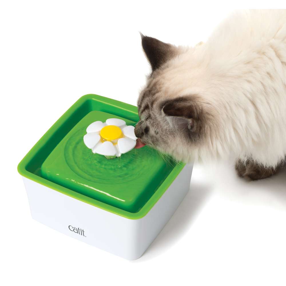 Filtres à double action pour mini abreuvoir Catit - paquet de 3