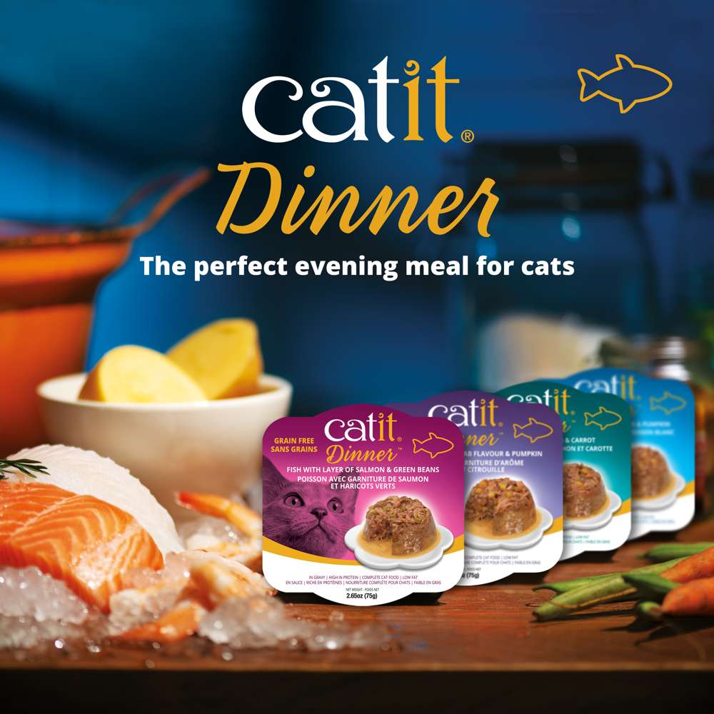 Catit Fish Dinner