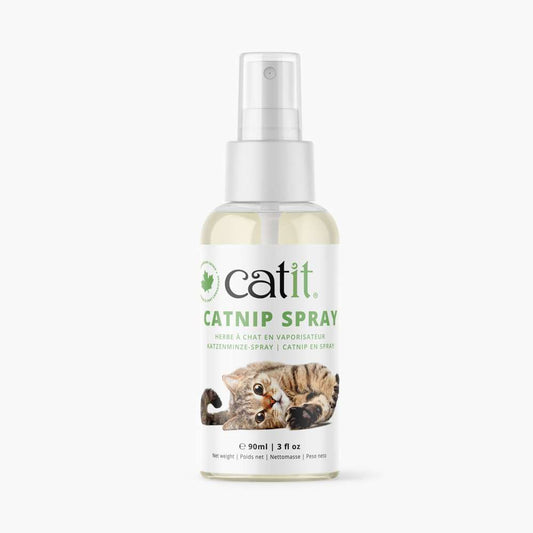 Herbe à chat Catit en vaporisateur