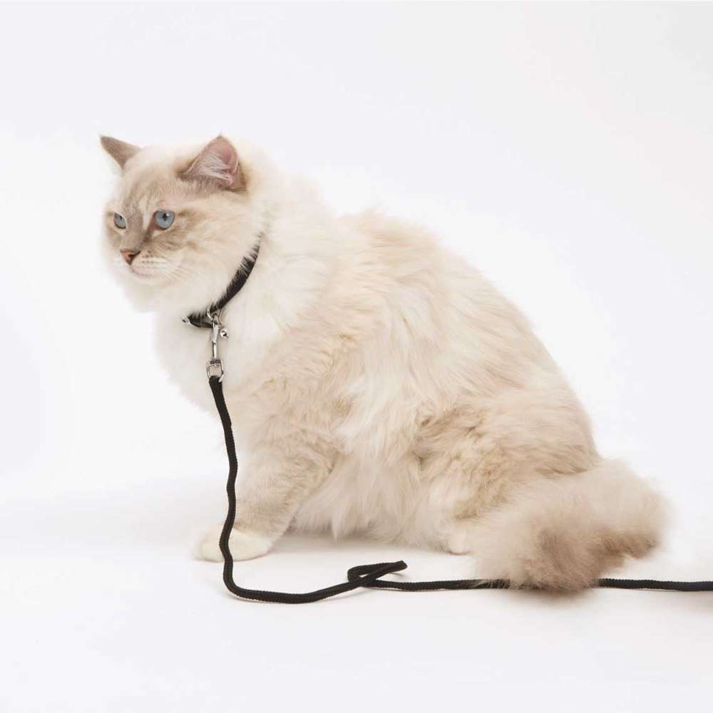 Catit Nylon Tie Out