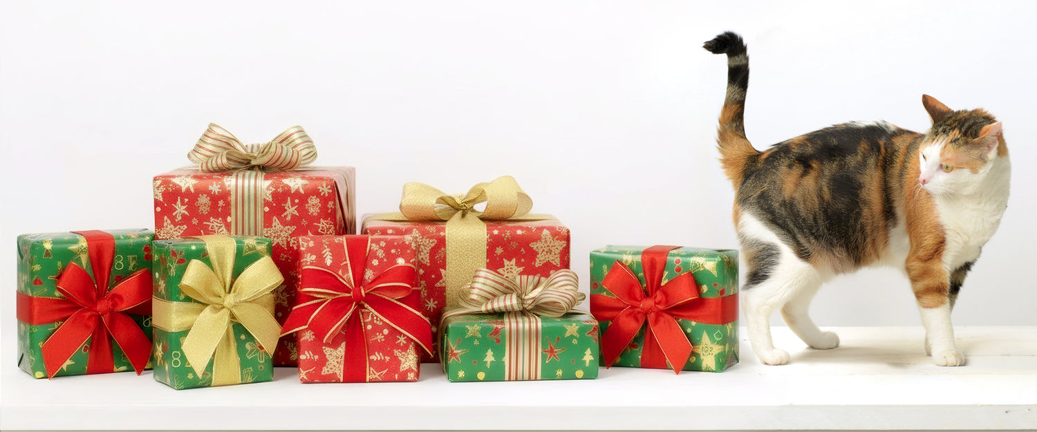 Holiday Cat Gift Guide