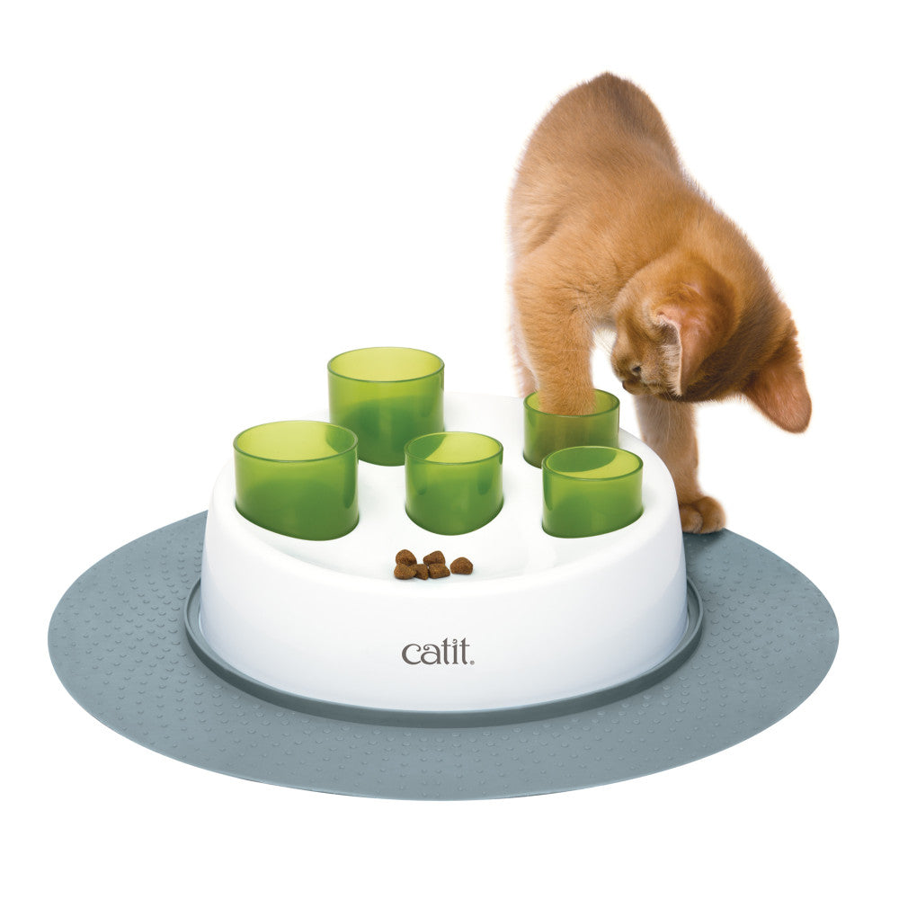 Bowls for cats that eat too fast best sale