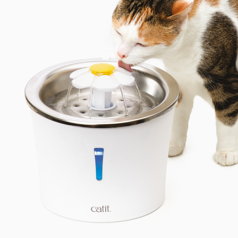 Pet water fountain canada best sale