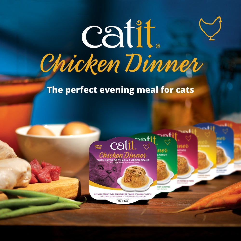 Repas de poulet Catit