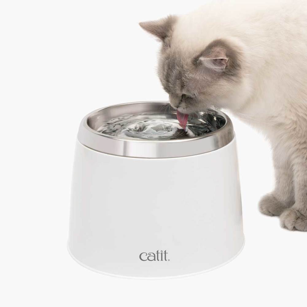 Best cat water fountain canada best sale