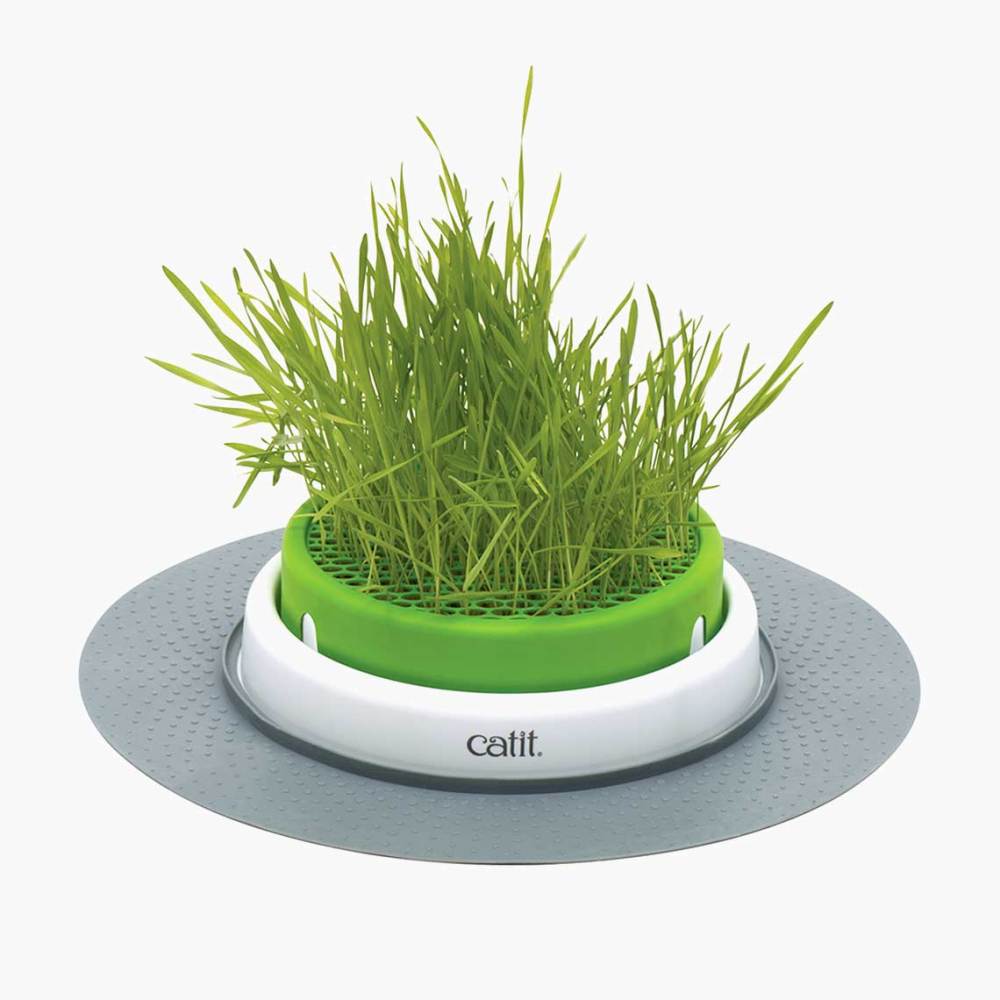 Catit Senses Grass Planter