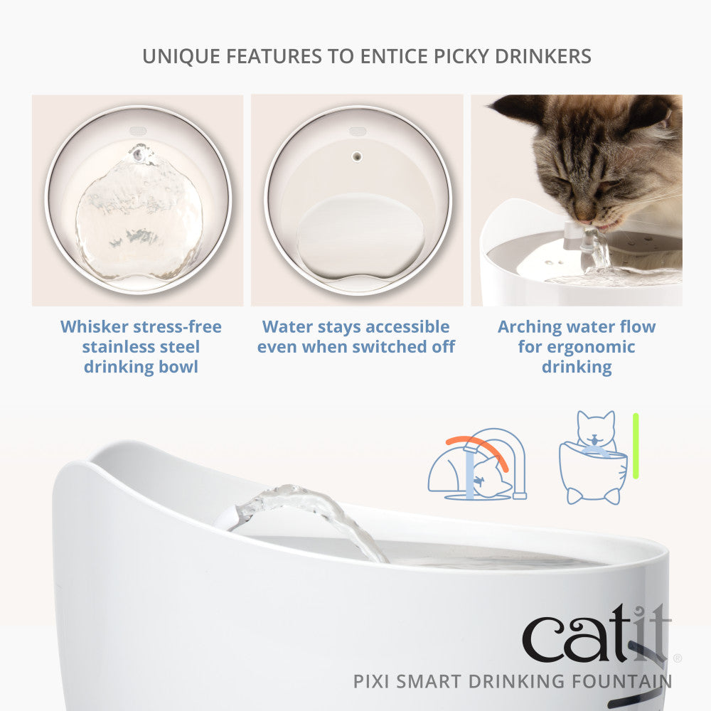 Cat fresh water dispenser best sale