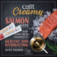 Creamy salmon recipe made with fresh ingredients 