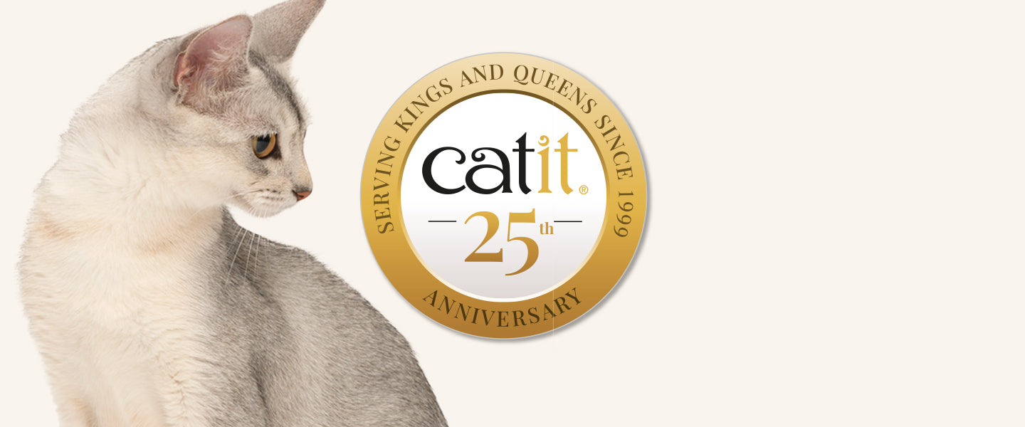 Catit 25th anniversary banner