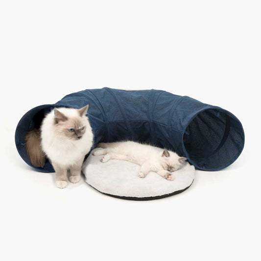 Tunnel for cats - Blue