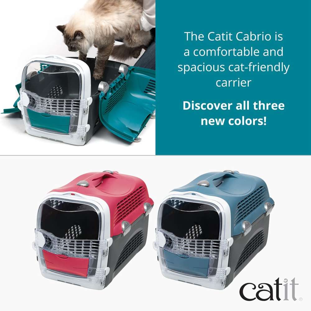 Modern cat carrier hotsell