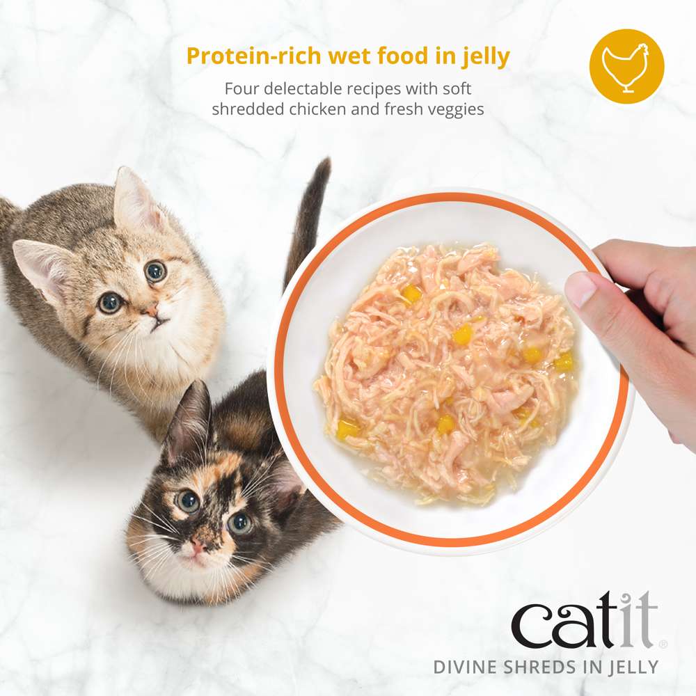 Garnitures Catit Divine Shreds en gelée – Poulet – paquet de 4