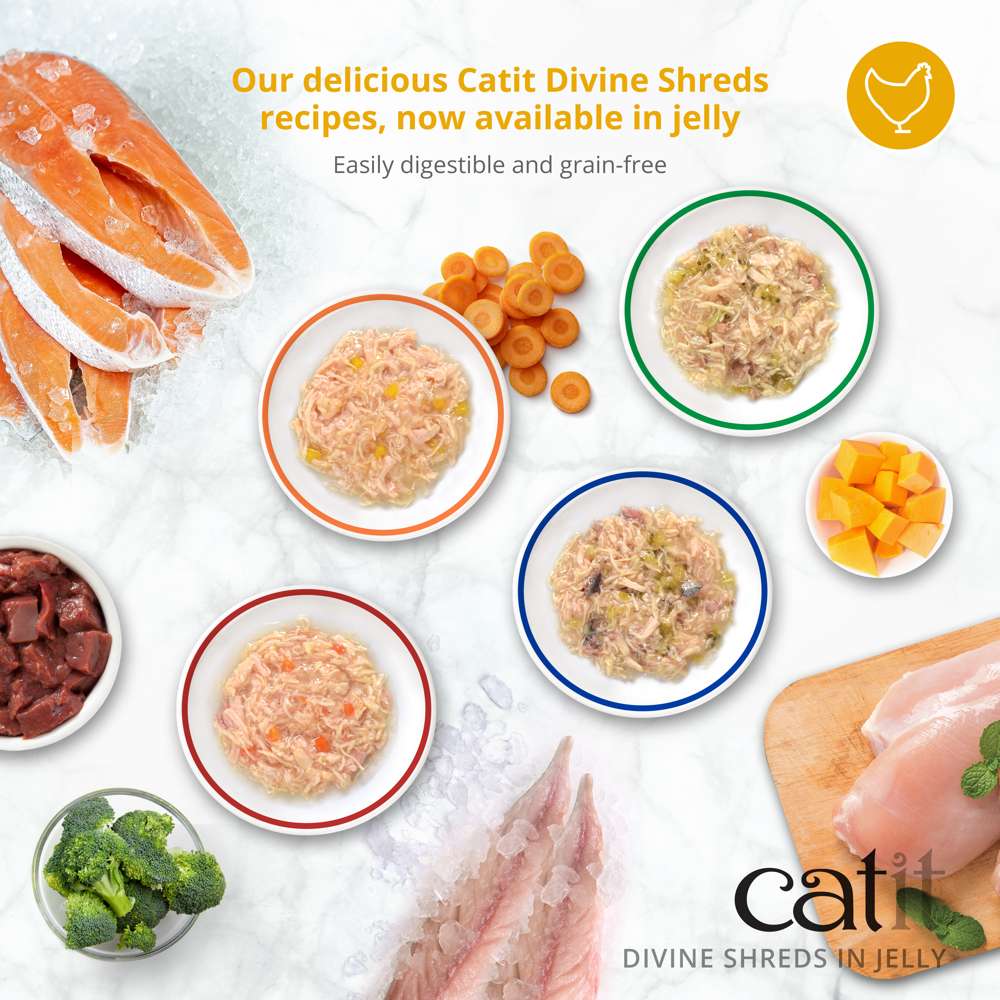 Garnitures Catit Divine Shreds en gelée – Poulet – paquet de 4