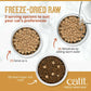 Catit Recipes Freeze-Dried RAW Diets