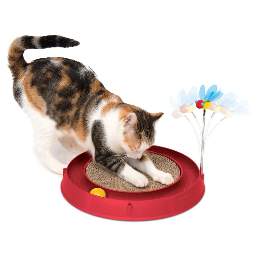 Catit Play 3 in 1 Circuit Ball Toy with Scratch Pad