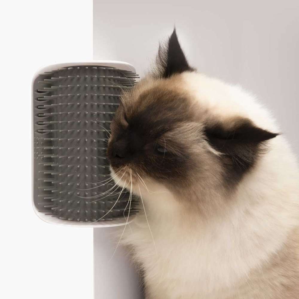 Autotoiletteur Catit Senses