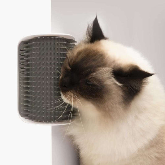 Autotoiletteur Catit Senses