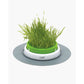 Jardinière d’herbe Catit Senses