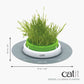 Jardinière d’herbe Catit Senses